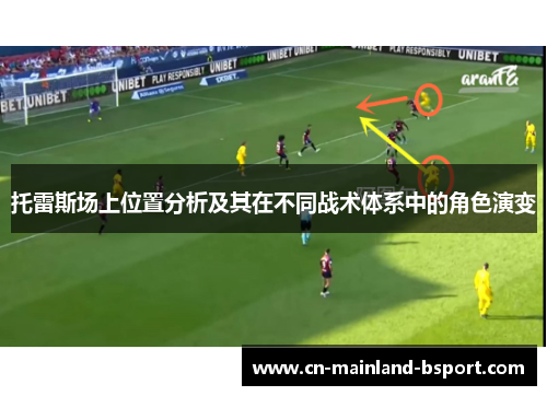 托雷斯场上位置分析及其在不同战术体系中的角色演变