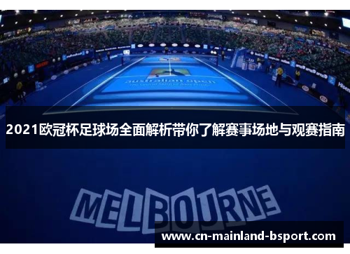 2021欧冠杯足球场全面解析带你了解赛事场地与观赛指南