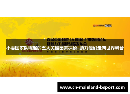 小麦国家队崛起的五大关键因素探秘  助力他们走向世界舞台