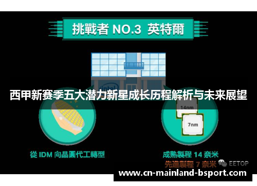 西甲新赛季五大潜力新星成长历程解析与未来展望