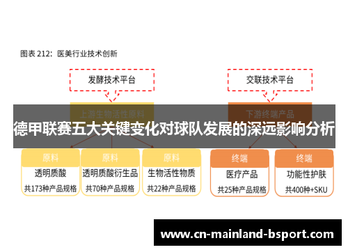 德甲联赛五大关键变化对球队发展的深远影响分析 德甲联赛五大关键变化对球队发展的深远影响分析