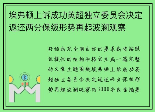 埃弗顿上诉成功英超独立委员会决定返还两分保级形势再起波澜观察 埃弗顿上诉成功英超独立委员会决定返还两分保级形势再起波澜观察